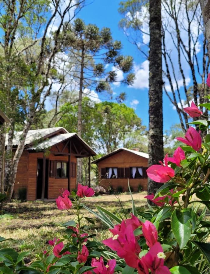 Cabanas Dos Pinheiros São Francisco de Paula Exteriér fotografie