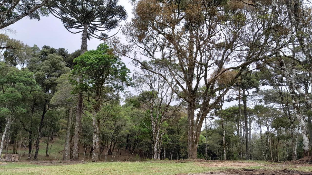 Cabanas Dos Pinheiros São Francisco de Paula Exteriér fotografie