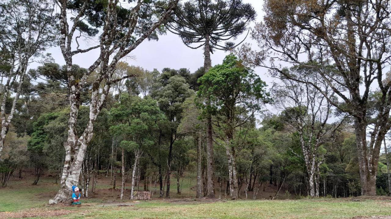 Cabanas Dos Pinheiros São Francisco de Paula Exteriér fotografie