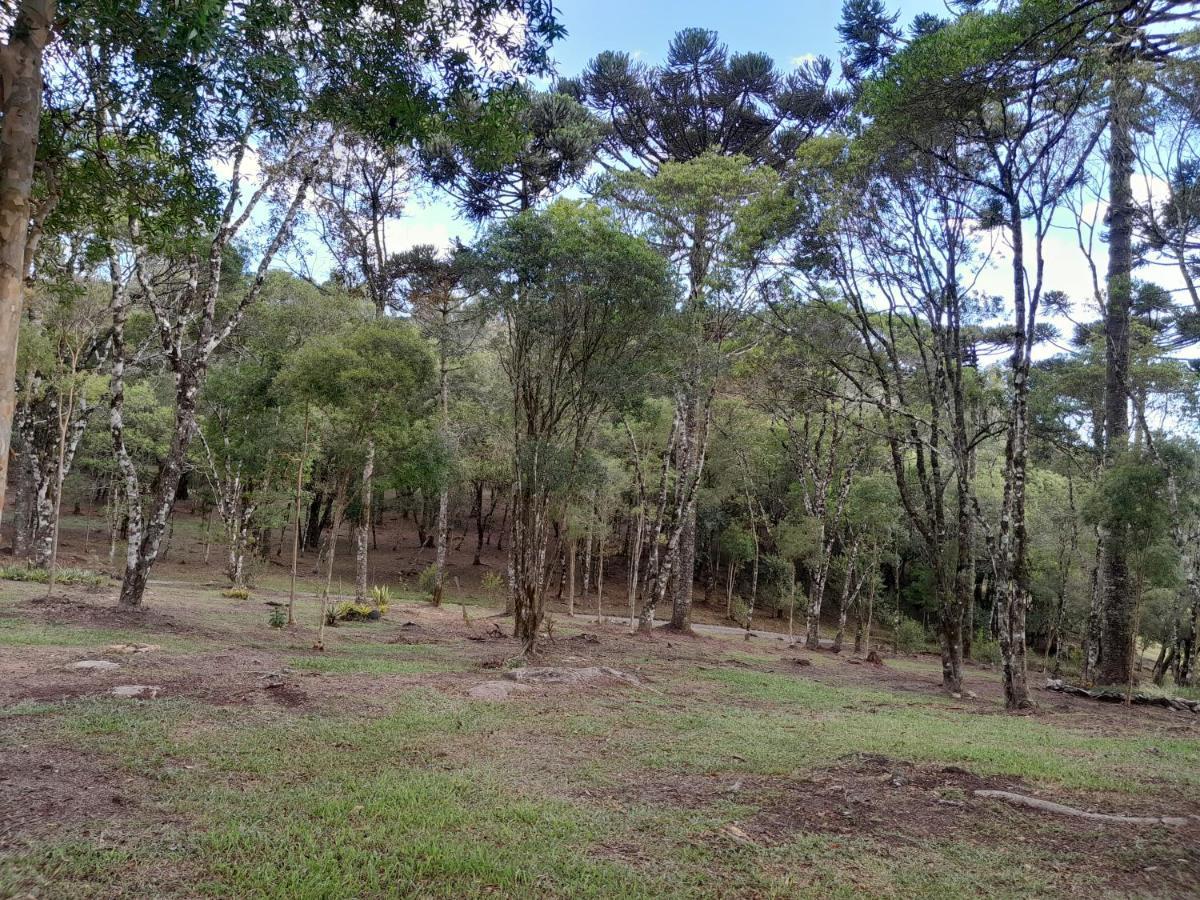 Cabanas Dos Pinheiros São Francisco de Paula Exteriér fotografie