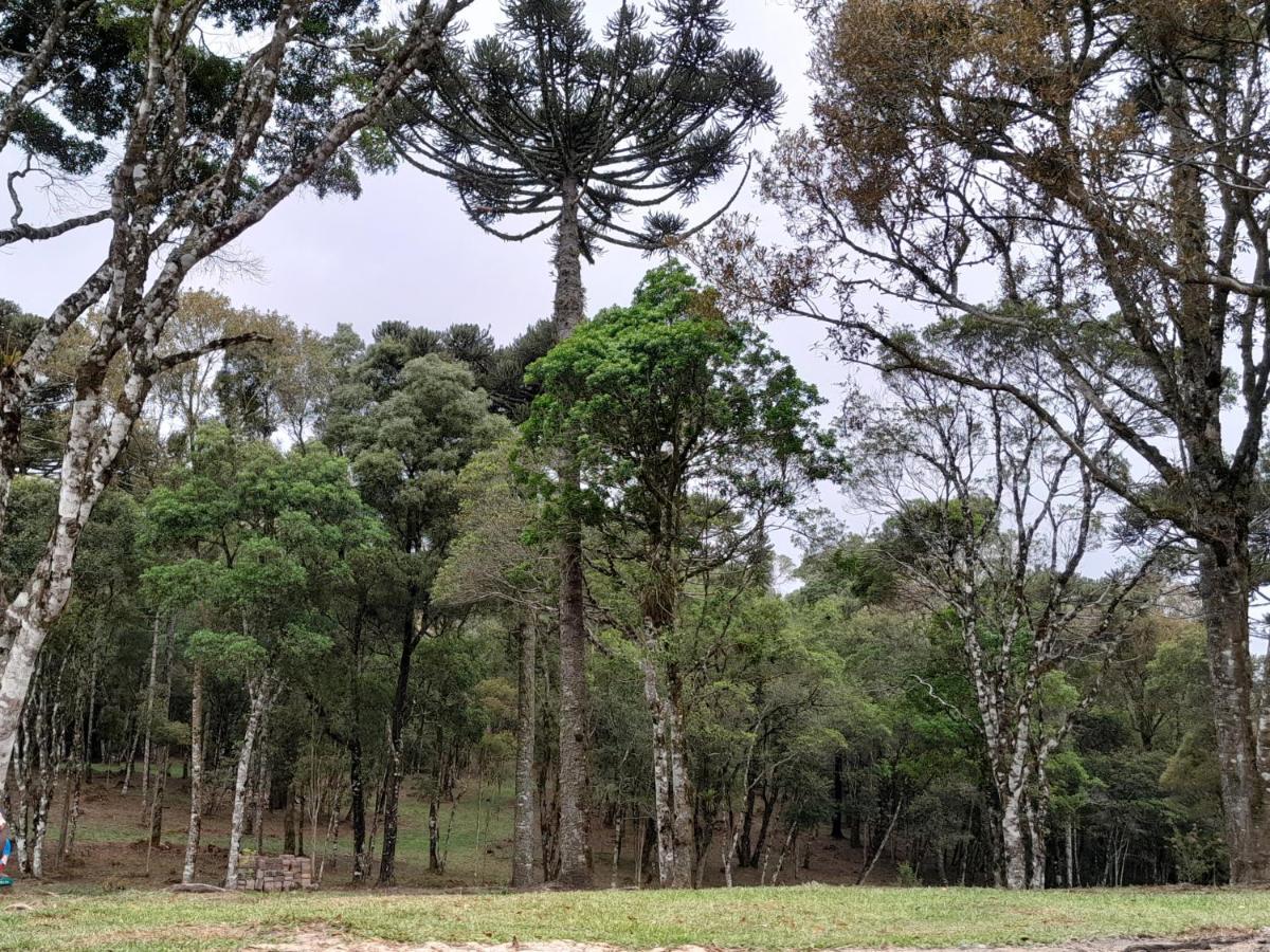Cabanas Dos Pinheiros São Francisco de Paula Exteriér fotografie