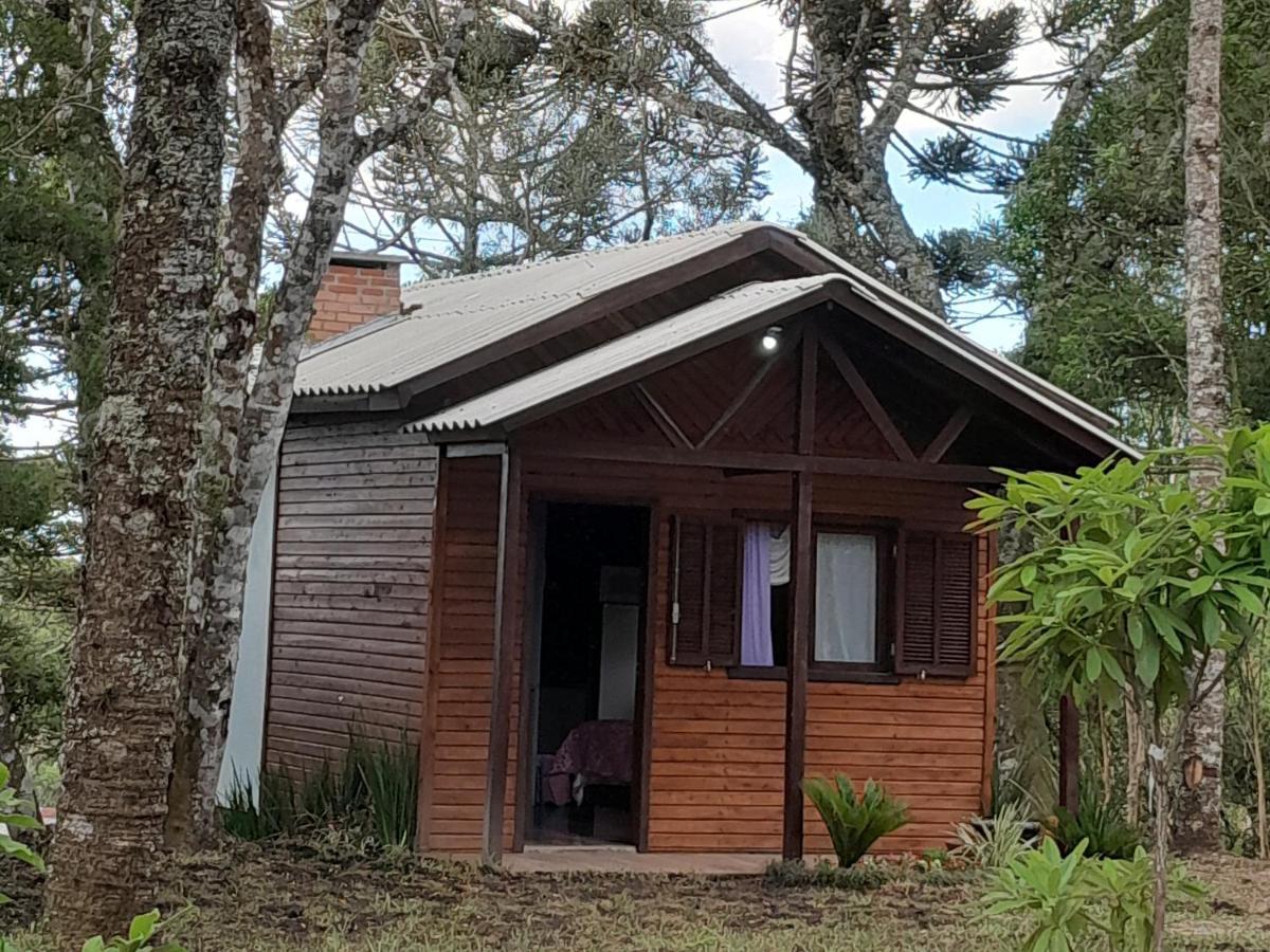 Cabanas Dos Pinheiros São Francisco de Paula Exteriér fotografie