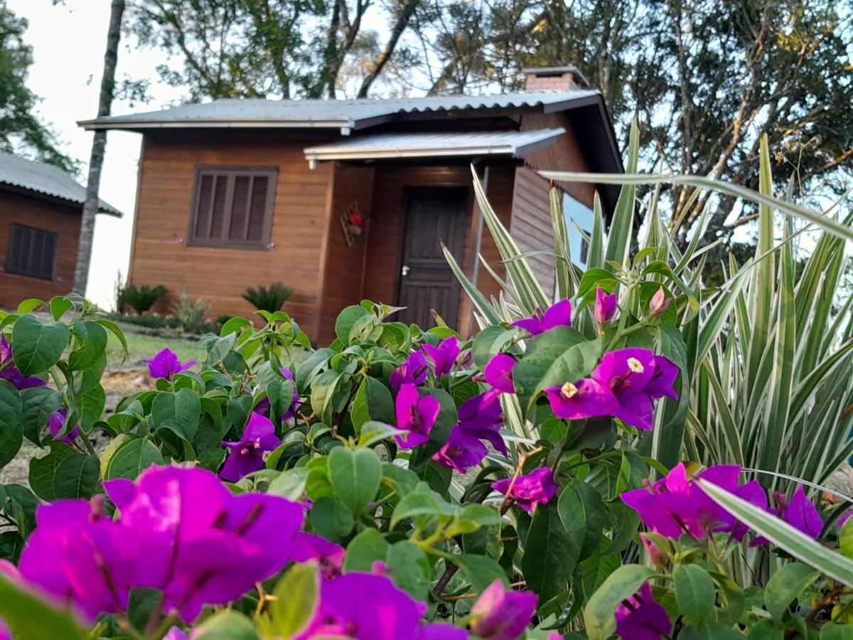 Cabanas Dos Pinheiros São Francisco de Paula Exteriér fotografie