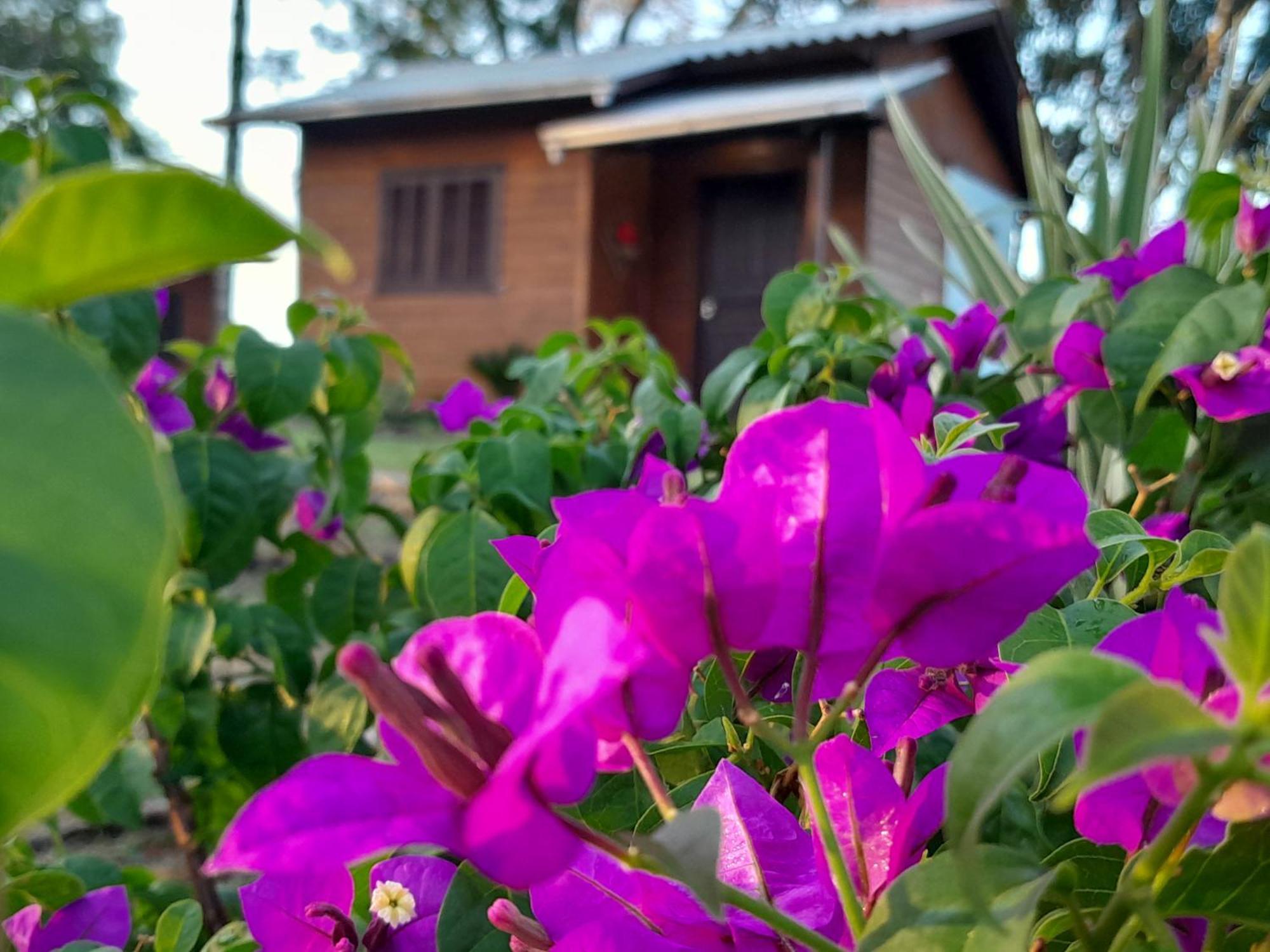 Cabanas Dos Pinheiros São Francisco de Paula Pokoj fotografie