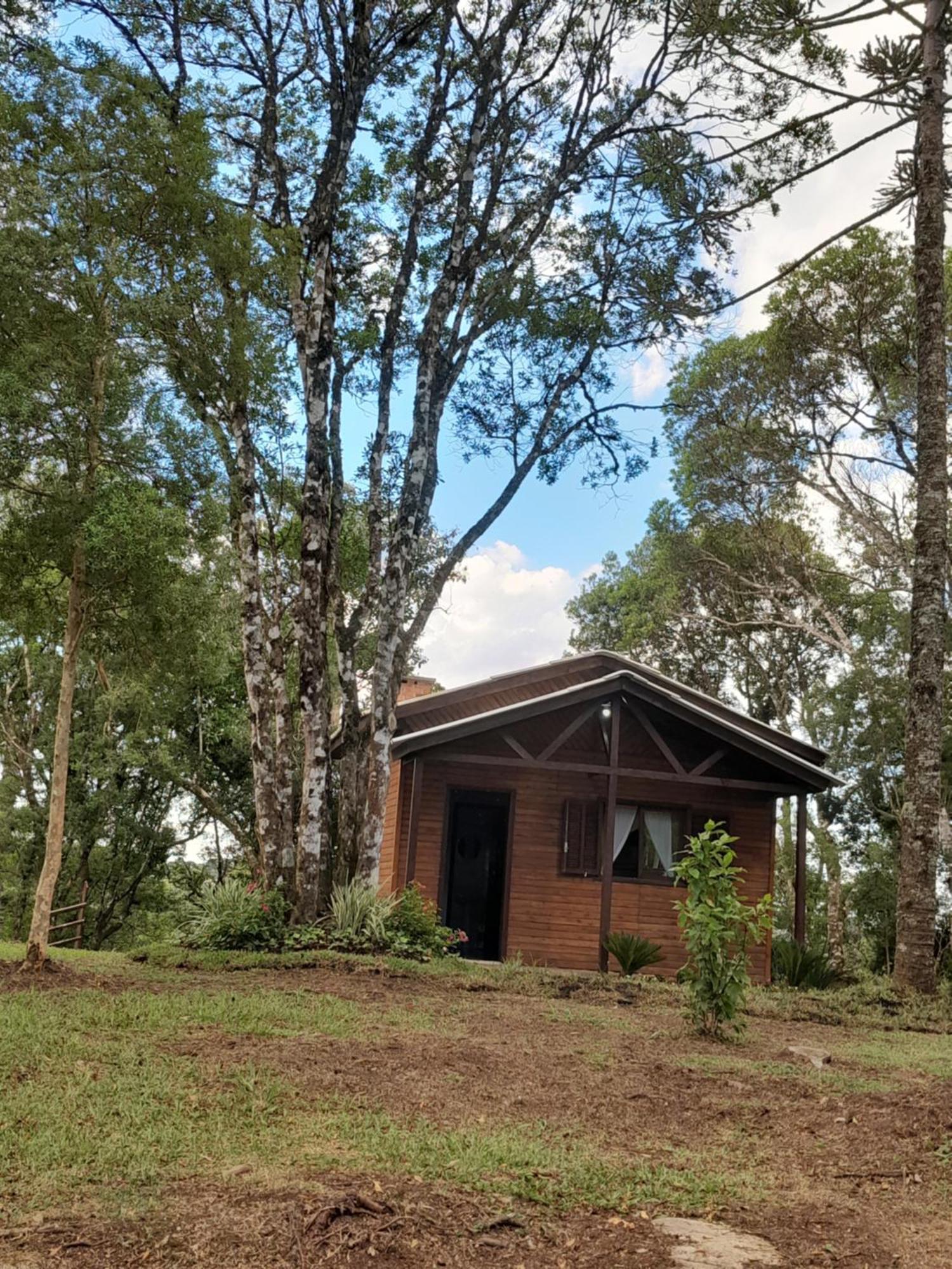 Cabanas Dos Pinheiros São Francisco de Paula Pokoj fotografie