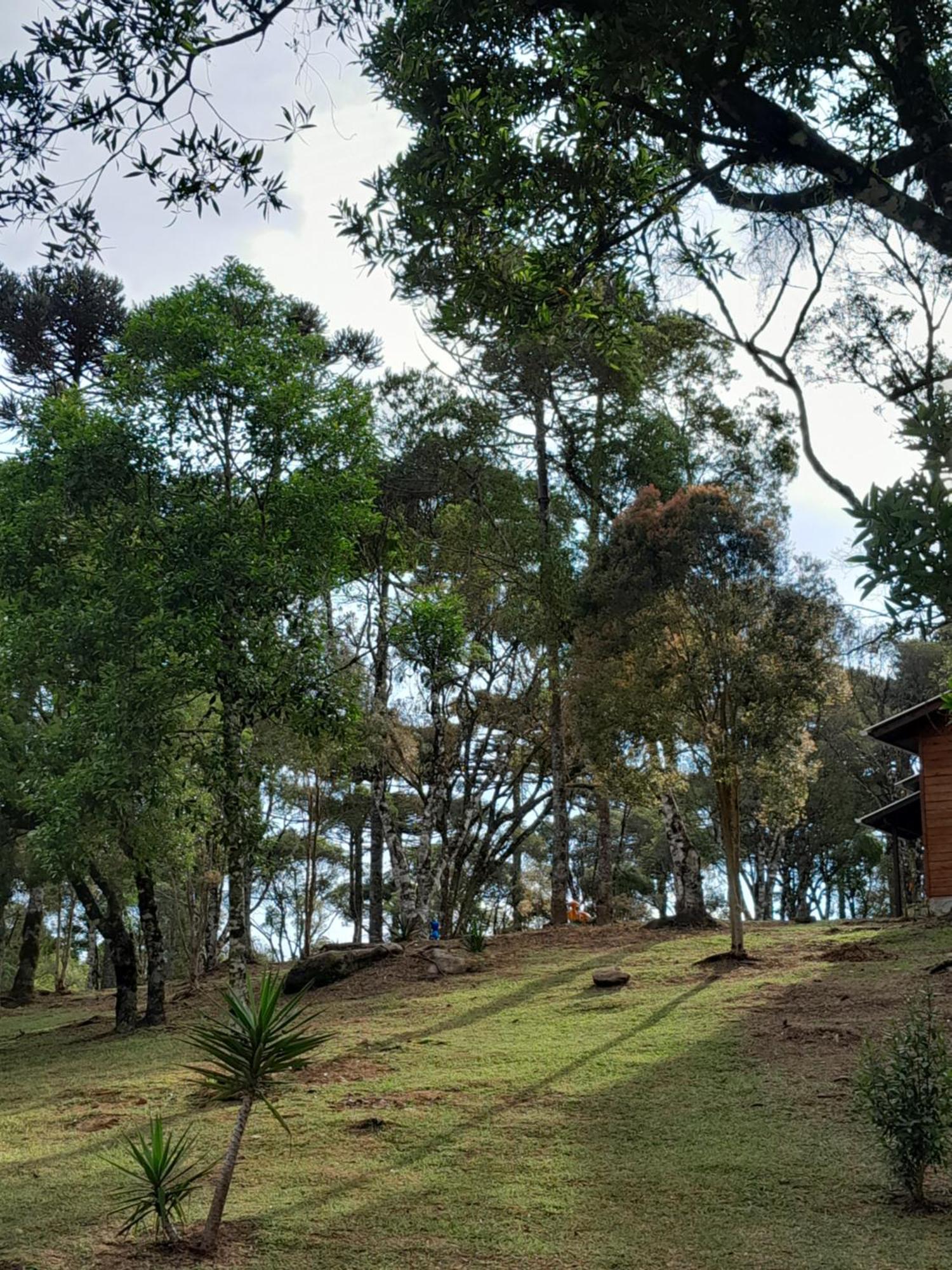 Cabanas Dos Pinheiros São Francisco de Paula Pokoj fotografie