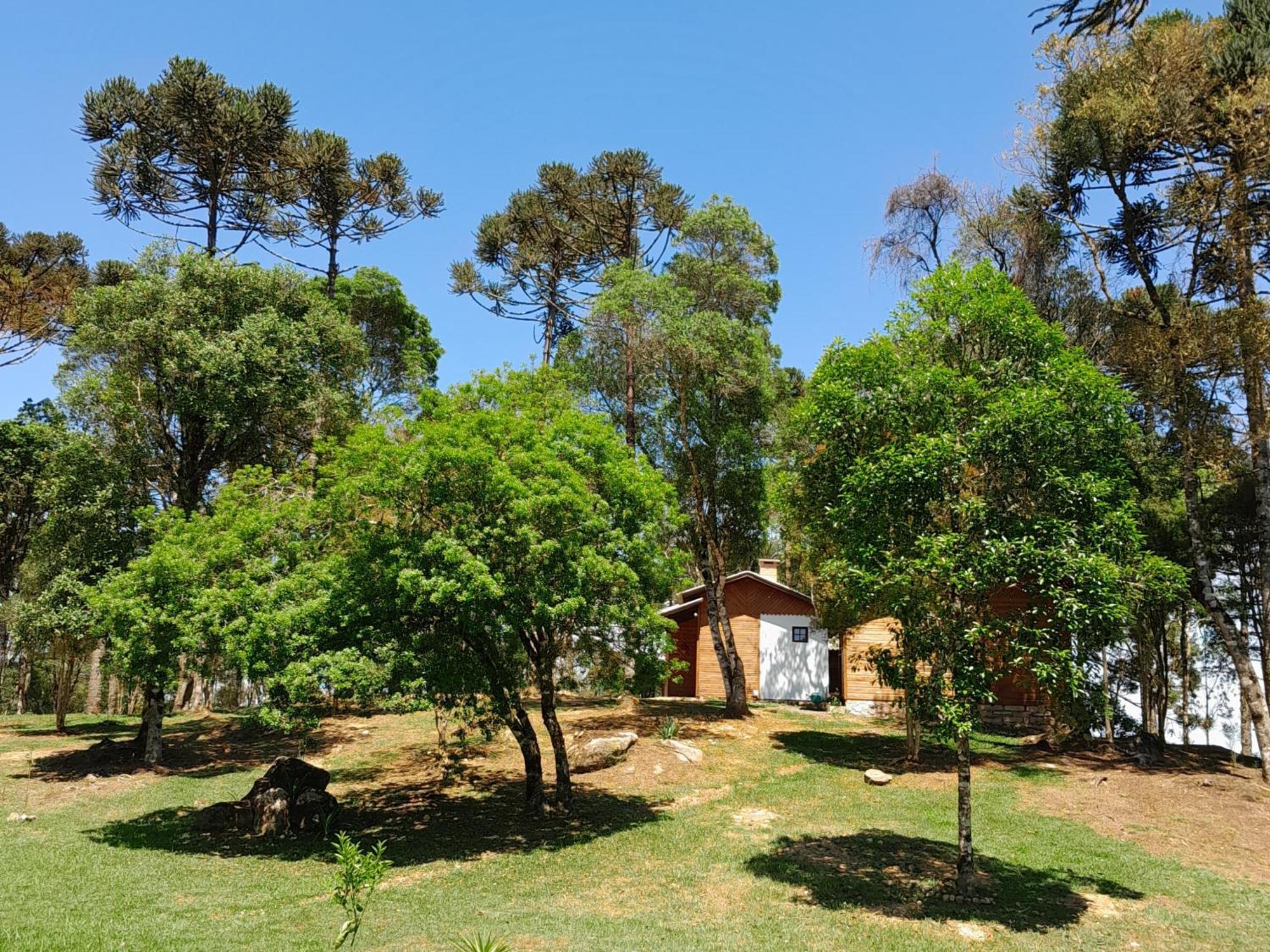 Cabanas Dos Pinheiros São Francisco de Paula Pokoj fotografie