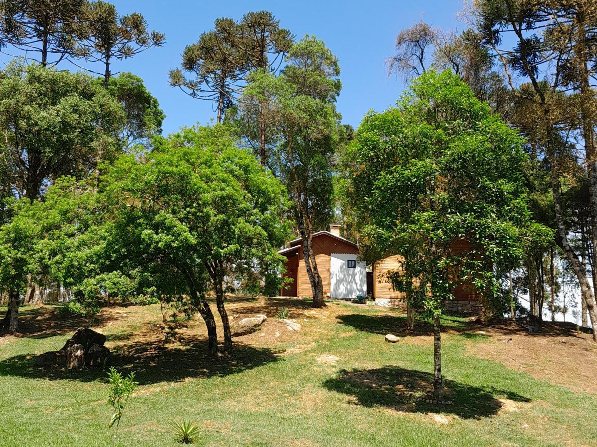 Cabanas Dos Pinheiros São Francisco de Paula Pokoj fotografie